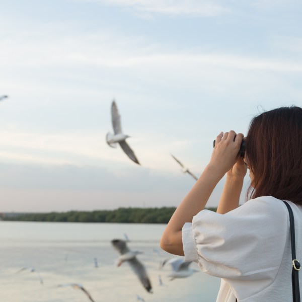 a person holding a bird flying over a body of water